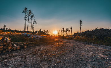 Image showing summer sunset in countryside