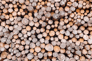 Image showing wood in pile outdoor , texture background