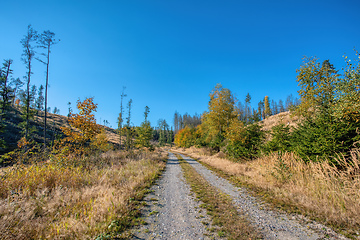 Image showing Countryside landscape, late summer, with fall colored tree