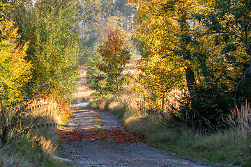 Image showing Countryside landscape, late summer, with fall colored tree