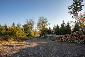 Image showing Countryside landscape, late summer, with fall colored tree