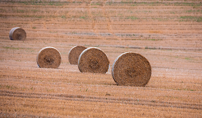 Image showing Straw bales stacked in a field at summer time