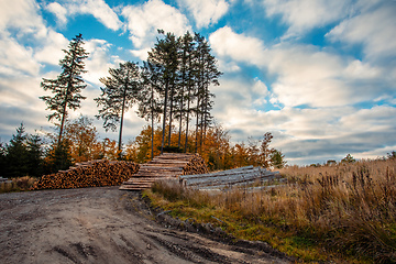 Image showing Countryside landscape with a heap of timbers