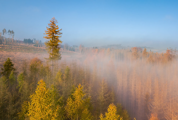 Image showing Aerial view of autumn countryside, traditional fall landscape in centra Europe