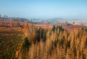 Image showing Aerial view of autumn countryside, traditional fall landscape in centra Europe