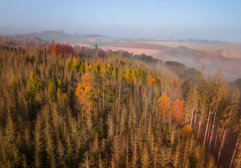 Image showing Aerial view of autumn countryside, traditional fall landscape in centra Europe