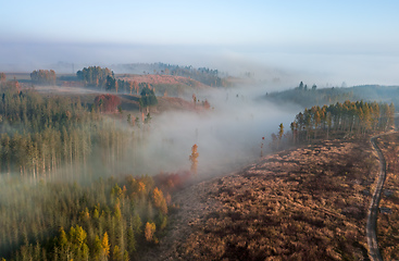 Image showing Aerial view of autumn countryside, traditional fall landscape in centra Europe