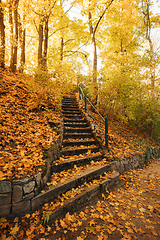 Image showing Stone staircase leading up a walkway in autumn