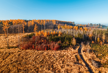 Image showing Aerial view of autumn countryside, traditional fall landscape in central Europe