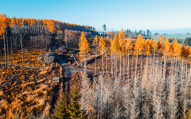 Image showing Aerial view of autumn countryside, traditional fall landscape in central Europe