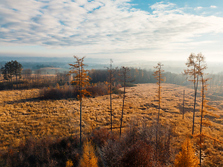 Image showing Aerial view of autumn countryside, traditional fall landscape in central Europe