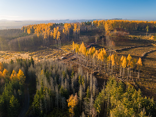 Image showing Aerial view of autumn countryside, traditional fall landscape in central Europe