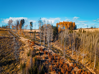 Image showing Aerial view of autumn countryside, traditional fall landscape in central Europe