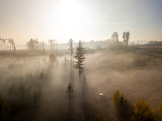 Image showing Aerial view of autumn countryside, traditional fall landscape in central Europe