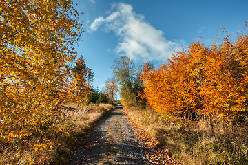 Image showing Countryside landscape, autumn season, with fall colored tree