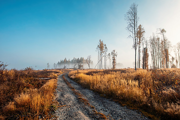 Image showing Countryside landscape, autumn season, with fall colored tree