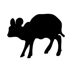 Image showing Pygmy Antelope Silhouette