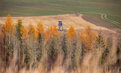 Image showing Wooden Hunters High Seat, hunting tower