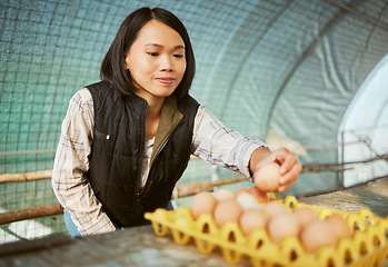 Image showing Eggs, farming and woman on farm with chicken, sustainable work with organic food, nutrition and protein with agriculture. Egg choice, package product and Asian farmer with environment in China.
