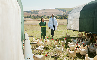 Image showing Chicken, farm and vet nurse with doctor for health inspection of eggs. Poultry, agriculture and veterinarian medical team, man and woman getting ready to test egg products for food safety compliance.