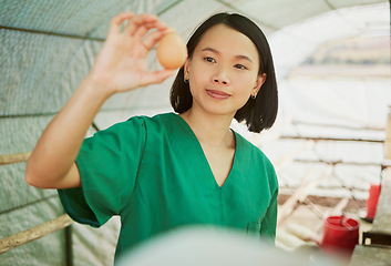 Image showing Veterinary, egg and medical with woman on farm for agriculture, healthcare and quality control. Help, sustainability and safety with animal nurse in hangar for production, ecology and eggs inspection