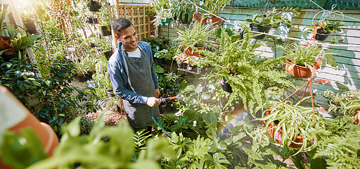 Image showing Plant shop, green plants and black man watering flower with quality check of natural product care. Garden, water and sustainability small business owner doing an inspection on calm gardening growth