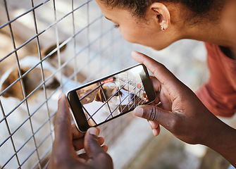 Image showing Animal shelter, phone and dog photo in cage with man and woman volunteer doing charity for homeless pet to report puppy abuse. Couple with sad pet picture on screen for social media vet animals