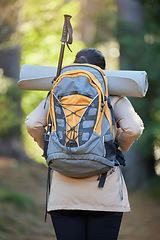 Image showing Hiking, travel and back of woman in nature, forest or jungle outdoors on holiday, vacation or trip. Freedom, hiker or female with backpack exploring, adventure or trekking alone in woods for exercise