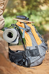 Image showing Hiking, background and backback in nature for adventure explore and fitness with equipment. Active, sport and bag for a hike or camping trip in a natural environment or forest for climbing