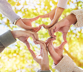 Image showing Heart, nature or hands with love sign for support, solidarity or peaceful harmony in park in summer. Teamwork, trust or low angle of friends with hand gestures for growth, community or faith in hope