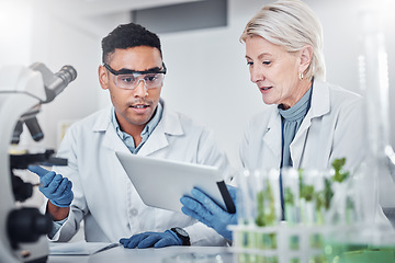 Image showing Teamwork, plant science and doctors with tablet for research. Collaboration, sustainability and scientists, man and old woman with touchscreen for gmo, experiment and researching botany in laboratory