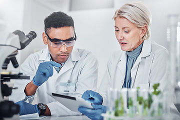 Image showing Scientist, man and woman with tablet, laboratory and ecofriendly science. Agriculture, research and scientists with online reading, test samples and innovation for global warming, analytics and tech.