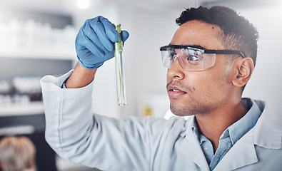 Image showing Scientist, test tube analysis and working in laboratory for plants science innovation, agriculture research or ecology pharmacist study. Doctor, chemistry expert and botanical development in lab