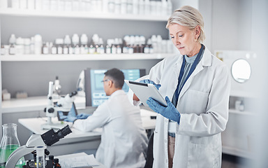 Image showing Senior scientist woman, tablet and laboratory for analysis, research or focus in pharmaceutical study. Science team, lab or planning for future virus, bacteria or vision for pharma solution in Sweden