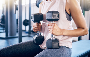 Image showing Woman, arms or dumbbell gym workout, training or exercise for strong muscle growth, healthcare wellness or body management. Sports athlete, personal trainer or coach with weightlifting fitness goals