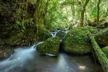 Image showing Small wild mountain river Rio Savegre. San Gerardo de Dota, Costa Rica.