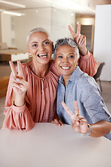 Image showing Senior women, bonding or peace sign in house or home living room for social media, profile picture or cool memory capture. Portrait, happy smile or retirement elderly friends and emoji hands gesture