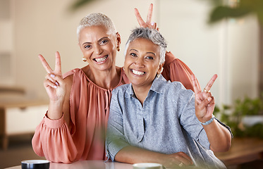 Image showing Senior women, bonding or peace sign in house or home living room for social media, profile picture or cool memory capture. Portrait, happy smile or retirement elderly friends and emoji hands gesture