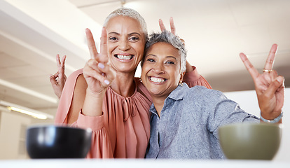 Image showing Senior women, bonding or peace sign in house or home living room for social media, profile picture or cool memory capture. Portrait, happy smile or retirement elderly friends and emoji hands gesture