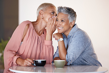 Image showing Senior women, bonding or whispering secrets in coffee shop, restaurant or cafe and funny gossip, news or story. Smile, happy or retirement elderly friends whisper in ear or sharing in rumor spread