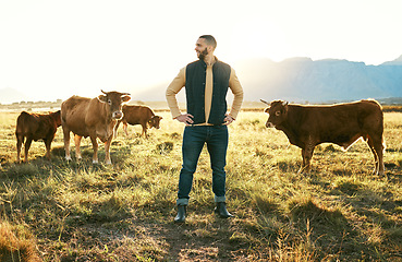 Image showing Cow, farm countryside and man proud of sustainability, working and production growth outdoor. Agriculture businessman happy about cows, field and cattle farming in nature with industry vision