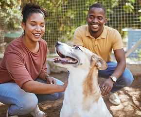 Image showing Black couple, dog and pet adoption at animal shelter for welfare, charity or help for homeless pets. Love, foster care and happy man and woman bonding, caring and touching animal at kennel outdoors.