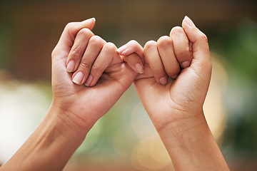 Image showing Hands, trust and promise of women friends for pledge of intimate secret, confession and bond. Care, support and pinky promise for confidential moment together with nature bokeh effect zoom.