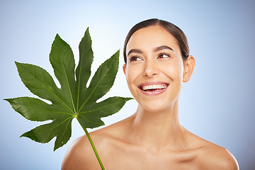 Image showing Woman, skincare and plant leaf in studio for self care beauty, wellness and smile by blue background. Model, happy and monstera leaves for natural cosmetic, radiant skin glow or aesthetic by backdrop