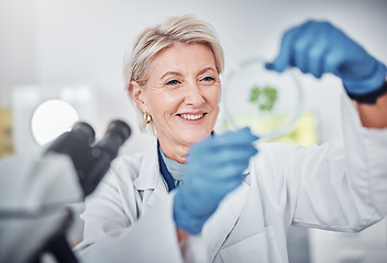 Image showing Science, research and plants sample with a doctor woman at work in a biological lab for innovation or development. Healthcare, medicine and study with a female scientist working in a laboratory