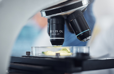 Image showing Science, research and plant sample on microscope for exam, lab test and study for agriculture. Laboratory, biotechnology and close up of leaf in glass for medical development, innovation and medicine