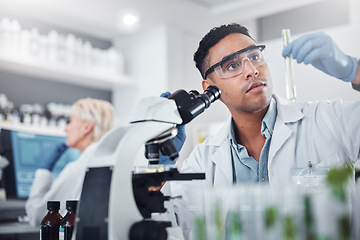 Image showing Black man, scientist and lab with test tube research, microscope and focus for agriculture study with plant. Science team, glass vial and plants for medicine, pharma and stop virus, bacteria or germs