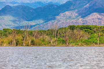 Image showing Lake Chamo landscape, Ethiopia Africa