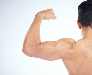 Image showing Bodybuilder, muscle and closeup of bicep in studio for gym, fitness or wellness by blue background. Model, growth or development for strong, healthy flex or exercise in workout, training or body goal