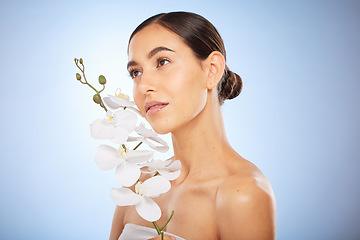 Image showing Beauty, skincare and woman with an orchid in a studio for a health, wellness and natural face routine. Cosmetic, self care and girl model with clear skin from spa facial treatment by blue background.